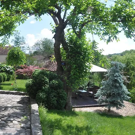 Pensión Djuric Negotin