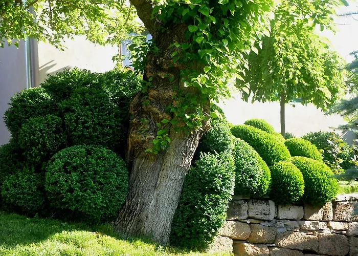 Gasthof Djuric Negotin