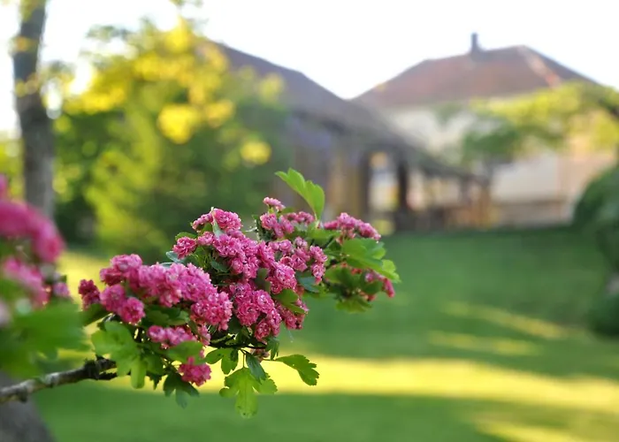 Djuric Gasthof Negotin