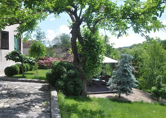 Gasthof Djuric Negotin