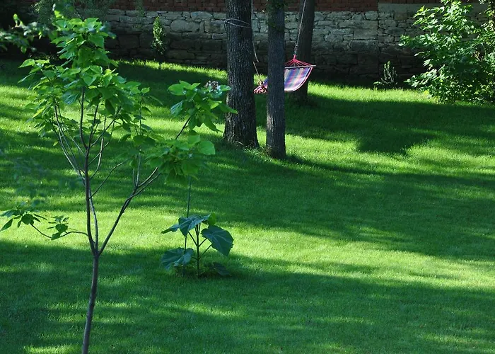 Djuric Gasthof Negotin